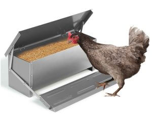 10KG 12.5L Garden Farm Automatic Food Storage Box Stand Chicken Feeder Poultry